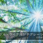 「変えられない、わからない、どうせできない」から脱出して「こんな人生になるなんて！」という感動を！11期ツナゲル・ライフインテグレーション講座