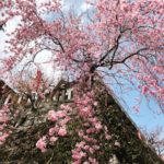 自然の力を敬う心・紀伊山地〜大峰山系の旅１