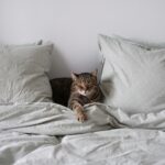 「やりたい」より先に「休みたい」でいい──止まることを恐れない