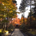 秋の高野山で、昔の人の驚異的な伝聞力に思いをはせた