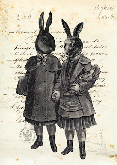 Les enfants lapin